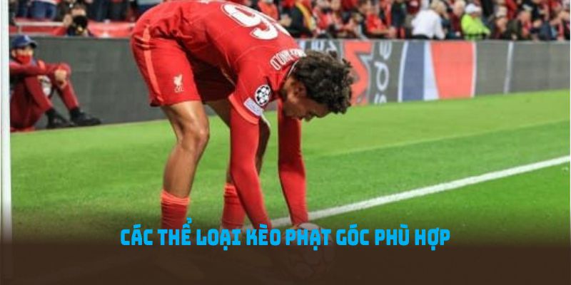 Các thể loại kèo phạt góc phù hợp để tham gia tại QQ88