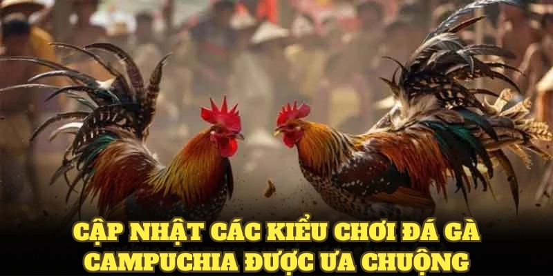 Cập nhật các kiểu chơi đá gà Campuchia được ưa chuộng