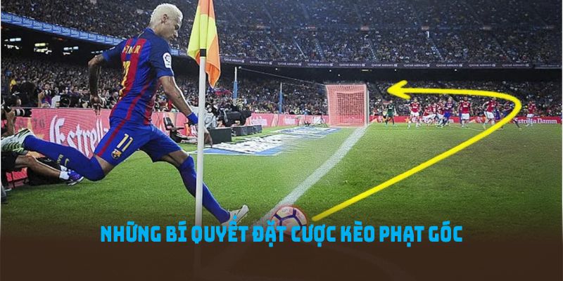 Những bí quyết đặt cược kèo phạt góc vô cùng hữu ích cho bạn