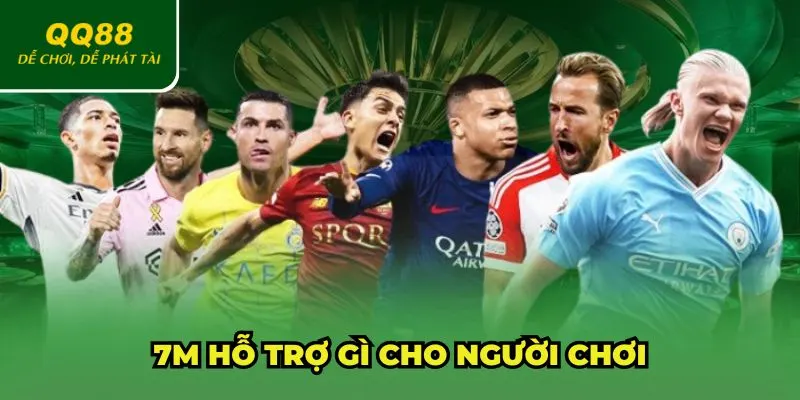 7M hỗ trợ cực tốt cho những kèo cược